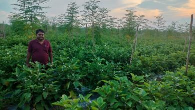 1707911393 8180d03e230d04c31f2d Console Corptech