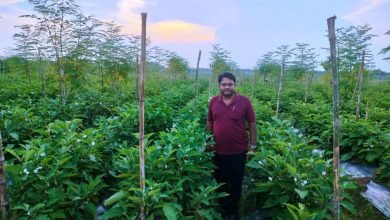 1708339711 8a1c22a95db27e814fb3 Console Corptech