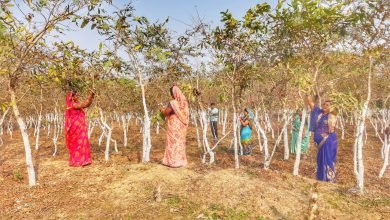 1708438646 bfddf612a3f4c04f2291 Console Corptech