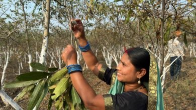 1708504953 d54f48a1eb265a1e3bcf Console Corptech