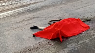 IMG 20240928 WA0033 Console Corptech