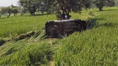 IMG 20241022 WA0179 Console Corptech