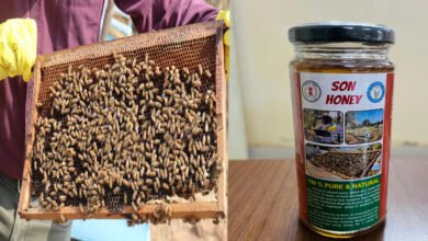 1747661773 eca6dea89d83649816f5 Console Corptech