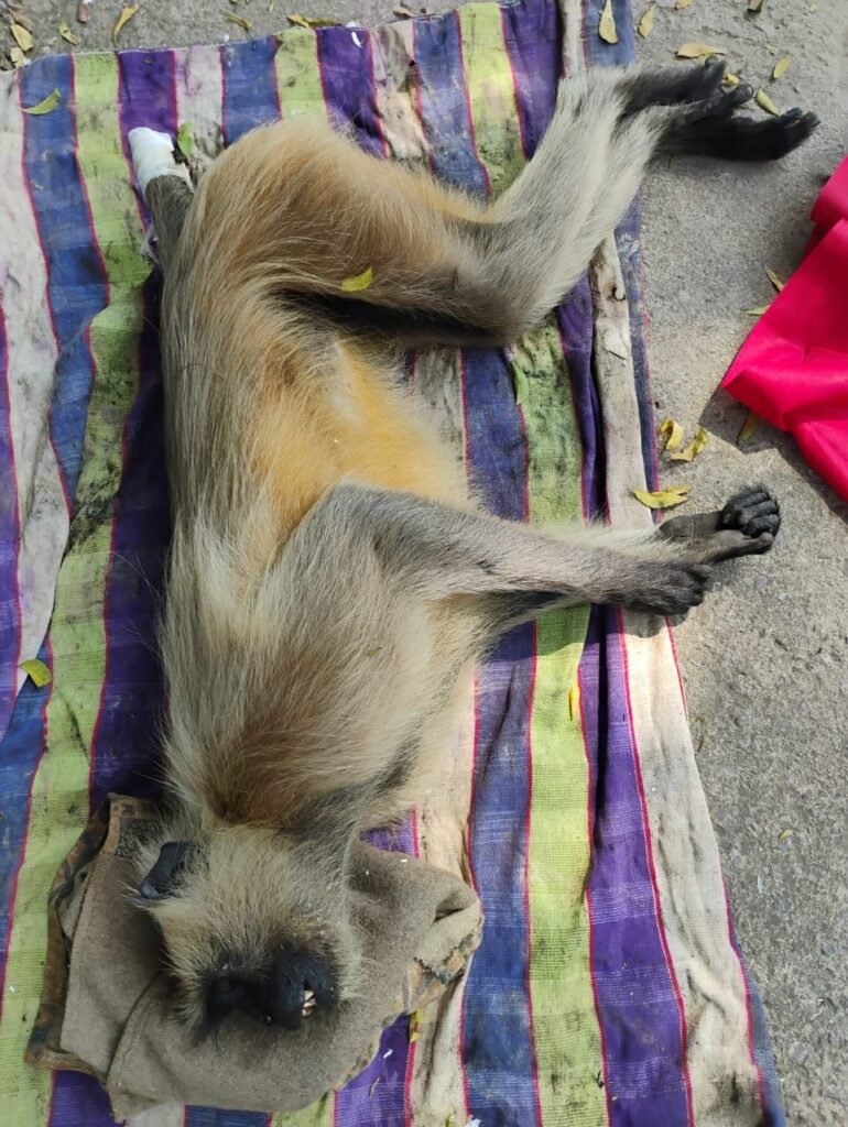 img 20251014 wa00083768664146768463226 Console Corptech