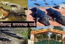 1773999602 ec170f2ae0309fd954ea Console Corptech