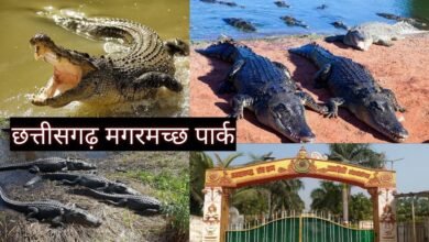 1773999602 ec170f2ae0309fd954ea Console Corptech