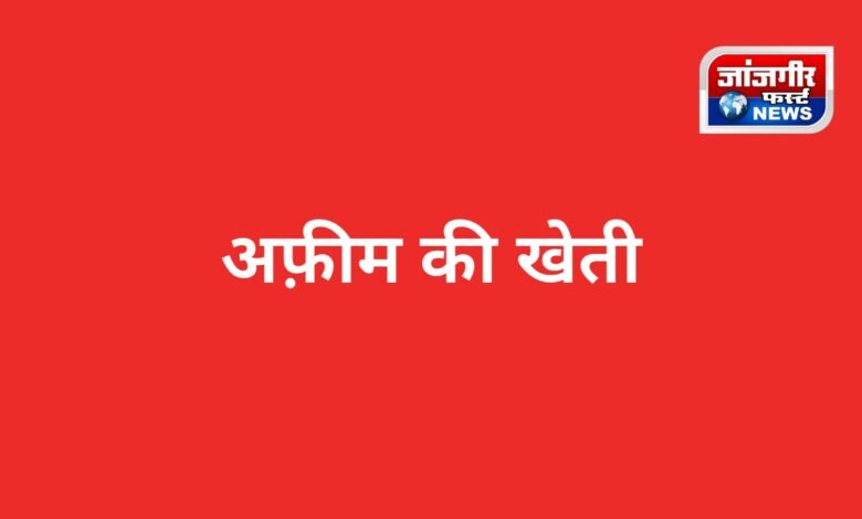 20260321 112658 Console Corptech