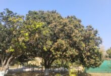 IMG 20260306 WA0017 Console Corptech