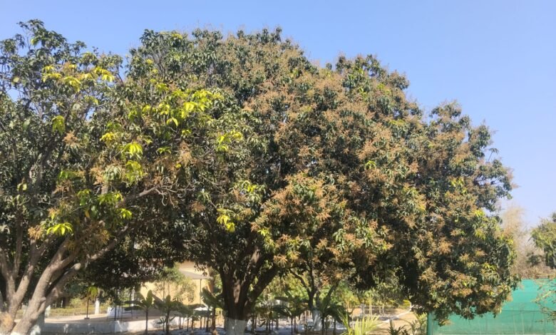 IMG 20260306 WA0017 Console Corptech