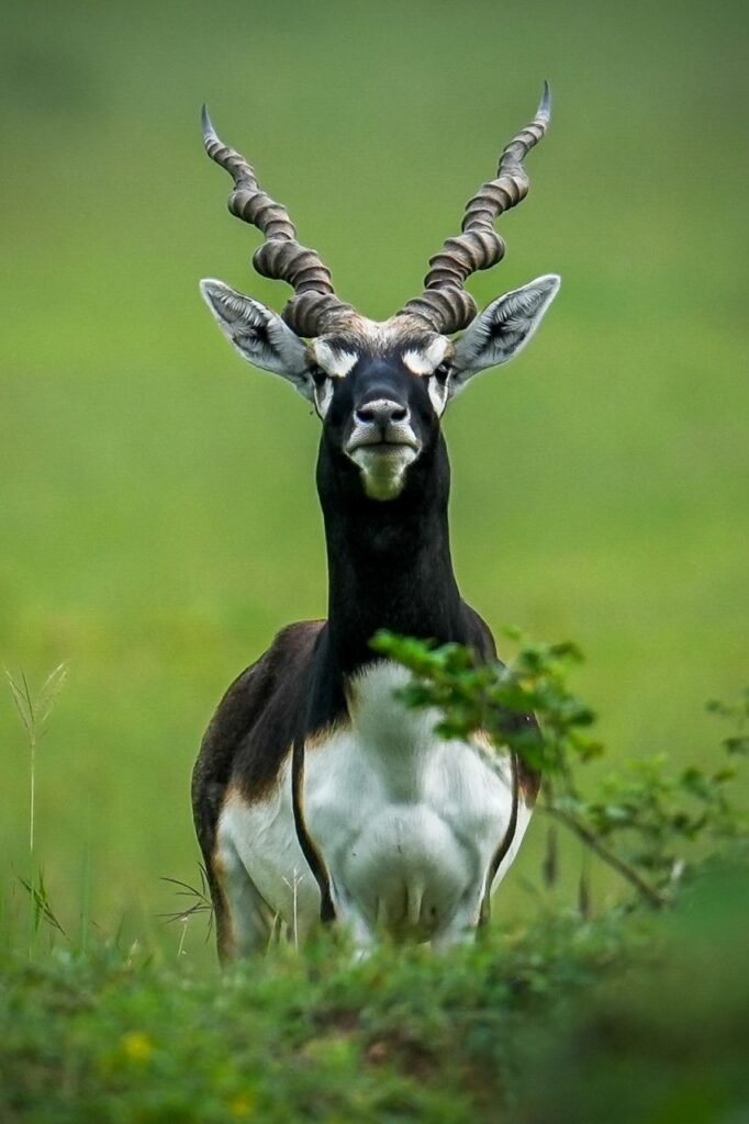 1777209443 26d347c484cae2e6698c2175194332359291703 Console Corptech