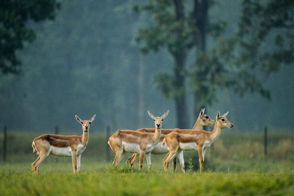 1777209478 e51c1f7fc6310863c0e87262950953456695926 Console Corptech