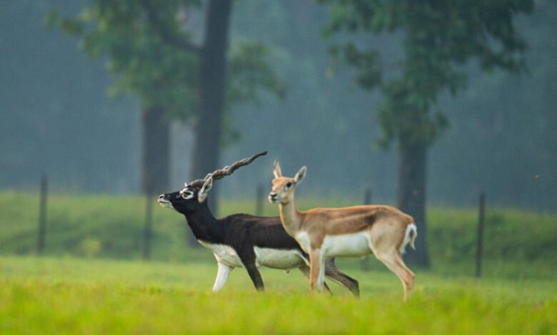 1777209519 2e0da26f1ba8a6fcff75 Console Corptech