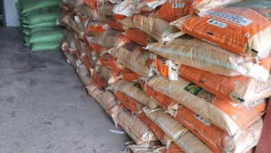 IMG 20260422 WA0017 Console Corptech