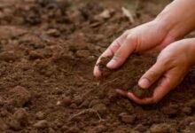 1779882255 923aef47d449543ed877 Console Corptech